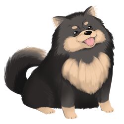 Rule 34 | :3, animal, animal ear fluff, black dog, black eyes, commentary, dog, dog request, dog tail, full body, looking at viewer, lowres, original, short eyebrows, simple background, sitting, tail, tail raised, tatsuya (trypaint), tongue, tongue out, white background