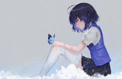 Rule 34 | 1girl, ahoge, animal, animal on hand, bad id, bad pixiv id, black hair, black skirt, blue eyes, blue hair, blue vest, bug, butterfly, butterfly on hand, commentary request, crying, crying with eyes open, dokomon, flower, gradient hair, grey background, highres, honkai (series), honkai impact 3rd, insect, knees up, korean commentary, multicolored hair, parted lips, pleated skirt, seele vollerei, shirt, short sleeves, sitting, skirt, solo, tears, thighhighs, vest, white flower, white shirt, white thighhighs