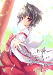 Rule 34 | 1girl, 9-nine-, absurdres, amatsuji, black hair, blurry, blurry background, blush, bow, closed mouth, dot nose, eyelashes, falling leaves, fingernails, hair between eyes, hair intakes, hairpin, highres, japanese clothes, kimono, leaf, long sleeves, looking at viewer, miko, multiple hairpins, open hand, outdoors, outstretched arm, reaching, reaching towards viewer, red bow, red eyes, red skirt, sample watermark, short hair with long locks, signature, skirt, solo, standing, sunlight, torii, watermark, white kimono, wide sleeves, yuuki noa