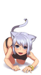 Rule 34 | 1girl, :d, all fours, animal ears, blush, cat ears, cat tail, fangs, flat chest, grey eyes, halterneck, highres, looking at viewer, midori (lucifer), open mouth, original, panties, short hair, sidelocks, silver hair, smile, solo, sports bra, tail, underwear, underwear only, watch, white background, wristwatch