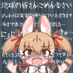 Rule 34 | animal costume, animal ear fluff, animal ears, cat ears, cat girl, cat tail, highres, kemono friends, kemono friends v project, large-spotted genet (kemono friends), long hair, mabuta (mbt), ribbon, simple background, tail, twintails, virtual youtuber