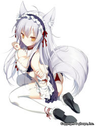 Rule 34 | 1girl, animal ears, ass, breasts, cleavage, collar, company name, dog ears, dog tail, full body, garter straps, ginko (magia break), grey hair, large breasts, long hair, magia break, maid headdress, panties, red panties, seiza, sitting, solo, tail, tail raised, thighhighs, underwear, white thighhighs, yellow eyes, yoruneko