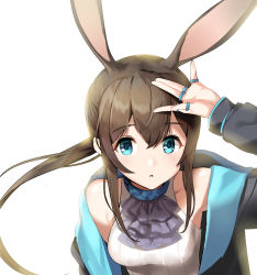 Rule 34 | 1girl, :o, absurdres, amiya (arknights), animal ears, arknights, arm up, armpits, ascot, bare shoulders, black jacket, blue eyes, breasts, brown hair, extra ears, highres, jacket, jewelry, looking at viewer, low ponytail, medium breasts, multiple rings, off shoulder, open clothes, open jacket, parted lips, purple ascot, rabbit ears, ring, shirt, shovelwell, sidelocks, simple background, sleeveless, sleeveless shirt, solo, upper body, white background, white shirt
