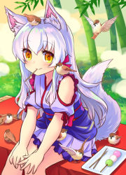 Rule 34 | 1girl, animal, animal ear fluff, animal ears, animal on head, animal on shoulder, bamboo, bamboo forest, bare shoulders, bird, bird on head, bird on lap, bird on shoulder, blue dress, blush, bow, clothing cutout, dango, day, dress, dress bow, eating, eurasian tree sparrow, food, forest, fox ears, fox girl, fox tail, frilled dress, frills, hair between eyes, hair over shoulder, hands on own knees, hisana, japanese clothes, long hair, looking at viewer, nature, obi, on head, original, outdoors, pleated dress, red bow, sanshoku dango, sash, short dress, short sleeves, shoulder cutout, silver hair, sitting, smile, solo, sparrow, tail, tail raised, wagashi, yellow eyes