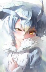 Rule 34 | 1girl, blush, coat, feathered wings, feathers, fur collar, head wings, highres, kemono friends, light rays, long sleeves, melaton, multicolored hair, northern white-faced owl (kemono friends), open mouth, short hair, solo, sunbeam, sunlight, white hair, wings, yellow eyes