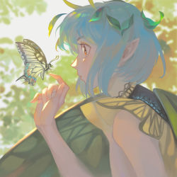 Rule 34 | 1girl, antennae, black shirt, blue hair, blurry, blurry background, bug, butterfly, butterfly on hand, butterfly wings, closed mouth, commentary, eternity larva, fingernails, from side, hair ornament, insect, insect wings, itsukann, leaf, leaf hair ornament, looking at animal, orange eyes, pointy ears, profile, shirt, short hair, solo, touhou, upper body, wings, yellow butterfly