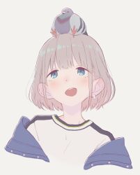 Rule 34 | 1girl, animal, animal on head, bird, bird on head, blue eyes, blush, commentary request, cropped torso, denim, denim jacket, doubato, earrings, hair behind ear, head tilt, highres, idolmaster, idolmaster shiny colors, jacket, jacket partially removed, jewelry, looking at animal, looking up, on head, open mouth, pigeon, serizawa asahi, shirt, short hair, simple background, single earring, smile, solo, straight-on, tareme, white background, white shirt