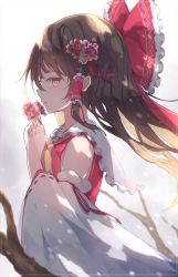 Rule 34 | 1girl, ascot, bare shoulders, bow, branch, breasts, brown eyes, brown hair, chiroru (cheese-roll), collared dress, detached sleeves, dress, flower, frills, from side, grey sky, hair between eyes, hair bow, hair flower, hair ornament, hair ribbon, hair tubes, hakurei reimu, hands up, highres, light, long hair, long sleeves, looking at viewer, open mouth, pink flower, red bow, red dress, red ribbon, ribbon, shadow, sky, small breasts, solo, touhou, white background, white sky, wide sleeves, yellow ascot