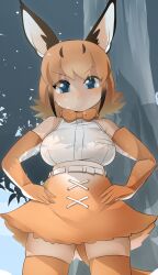 Rule 34 | 1girl, animal ear fluff, animal ears, belt, blue background, blue eyes, blush, breasts, caracal (kemono friends), cat ears, cat girl, cat tail, closed mouth, commentary request, cowboy shot, elbow gloves, flipped hair, gloves, hands on own hips, highres, kemono friends, large breasts, lets0020, looking at viewer, medium bangs, orange gloves, orange skirt, orange thighhighs, praying, shirt, shirt tucked in, short hair, skirt, solo, tail, thighhighs, tree, v-shaped eyebrows, white belt, white shirt