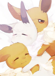 Rule 34 | alternate color, animal focus, bad id, bad pixiv id, banchiku, bed sheet, blush, brown eyes, closed eyes, closed mouth, creatures (company), eevee, fluffy, from above, game freak, gen 1 pokemon, half-closed eyes, highres, hug, light blush, lying, nintendo, no humans, nose blush, on side, open mouth, pokemon, pokemon (creature), shiny and normal, shiny pokemon, simple background, sleeping, white background