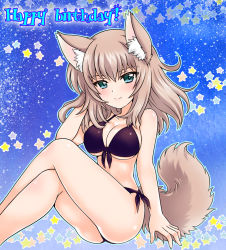 Rule 34 | 10s, 1girl, animal ears, bikini, black bikini, blue background, blue eyes, breasts, cleavage, closed mouth, commentary request, crossed legs, dog ears, dog tail, english text, front-tie bikini top, front-tie top, girls und panzer, hand in own hair, happy birthday, itsumi erika, kemonomimi mode, kuromori yako, long hair, looking at viewer, medium breasts, side-tie bikini bottom, silver hair, sitting, smile, solo, star (symbol), starry background, swimsuit, tail, thighs