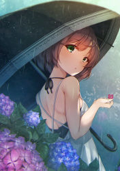 Rule 34 | 1girl, absurdres, back, bad id, bad pixiv id, blush, breasts, brown hair, commentary request, flower, from behind, green eyes, has bad revision, has downscaled revision, highres, holding, holding umbrella, hydrangea, letterboxed, looking at viewer, looking back, md5 mismatch, original, outdoors, parted lips, rain, rerrere, resolution mismatch, short hair, sideboob, small breasts, solo, source smaller, spaghetti strap, umbrella