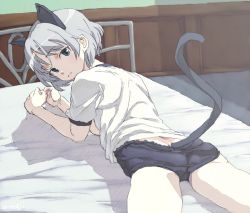 Rule 34 | 00s, 1girl, animal ears, bed, buruma, cat ears, cat tail, gym uniform, looking back, lying, negoro shuujirou, on stomach, sanya v. litvyak, short hair, silver hair, solo, strike witches, tail, underwear, world witches series