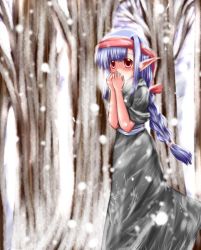 Rule 34 | 1girl, blue hair, blush, cold, female focus, long hair, misana, outdoors, plant, pointy ears, red eyes, snow, solo, standing, tree