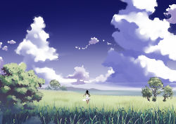 Rule 34 | cloud, day, field, nature, original, scenery, sky, solo, tensugi takashi