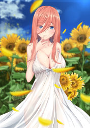 Rule 34 | 1girl, absurdres, bare shoulders, blue bow, blue eyes, blue sky, blush, bow, breasts, brown hair, cleavage, closed mouth, cloud, day, dress, falling petals, finger to mouth, flower, go-toubun no hanayome, hair between eyes, highres, large breasts, looking at viewer, medium hair, nakano miku, outdoors, petals, see-through, sky, spekkio36, standing, sunflower, white dress
