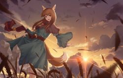 Rule 34 | 1girl, animal ears, blue dress, brown hair, capelet, cloud, dress, fangs, from below, highres, holo, long hair, md5 mismatch, outdoors, pouch, red eyes, resolution mismatch, skirt hold, source smaller, spice and wolf, standing, sunset, tail, wheat, wolf ears, wolf tail, ziran majiang