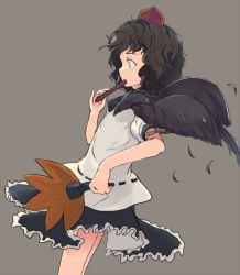 Rule 34 | 1girl, animal, animal on arm, ascot, bird, bird on arm, black ascot, black feathers, black hair, black skirt, brown background, commentary request, covered mouth, crown, feathers, frilled skirt, frills, from side, hat, hauchiwa, holding, messy hair, profile, puffy short sleeves, puffy sleeves, red eyes, red hat, ripu (lipi), shameimaru aya, shirt, short sleeves, simple background, skirt, solo, tokin hat, touhou, white shirt