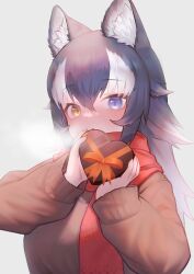 Rule 34 | 1girl, absurdres, akuma (st.takuma), alternate costume, animal ears, blue eyes, blush, box, brown sweater, commentary, grey background, grey hair, grey wolf (kemono friends), hair between eyes, heart-shaped box, heterochromia, highres, kemono friends, long hair, long sleeves, looking at viewer, multicolored hair, red scarf, scarf, simple background, solo, sweater, two-tone hair, white hair, wolf ears, wolf girl, yellow eyes