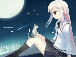 Rule 34 | 00s, cat, long hair, lucy maria misora, moon, official art, official wallpaper, pink hair, red eyes, sky, solo, to heart (series), to heart 2, wallpaper