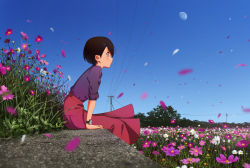 Rule 34 | 1girl, blouse, blue sky, brown eyes, brown hair, closed mouth, day, domo1220, field, flower, flower field, from side, grass, hair ornament, hairclip, highres, long skirt, original, outdoors, petals, power lines, profile, purple flower, purple shirt, purple skirt, shirt, short hair, sitting, skirt, sky, sleeves past elbows, solo, very short hair, watch, wristwatch