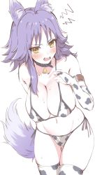 Rule 34 | 1girl, animal ear fluff, animal ears, animal print, arm belt, bare shoulders, bell, bikini, blush, breasts, bridal gauntlets, cleavage, collar, collarbone, cow print, detached sleeves, highres, large breasts, looking at viewer, makoto (princess connect!), medium hair, neck bell, open mouth, princess connect!, purple hair, sidelocks, solo, swimsuit, tail, thighs, white bikini, wolf ears, wolf girl, wolf tail, yamabuki0, yellow eyes