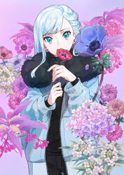Rule 34 | 1girl, black pants, black shirt, blue coat, blue eyes, blue flower, chon chiyon, coat, copyright request, covered mouth, earrings, eyelashes, flower, highres, holding, holding flower, jewelry, long hair, long sleeves, looking at viewer, novel illustration, official art, pants, pink flower, purple background, shirt, solo, white hair