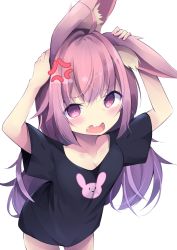 Rule 34 | 1girl, ahoge, anger vein, animal ear fluff, animal ears, arms up, black shirt, breasts, cleavage, commentary request, cowboy shot, fang, hair between eyes, kyuukon (qkonsan), leaning forward, long hair, looking at viewer, open mouth, original, purple eyes, purple hair, rabbit ears, shirt, short sleeves, simple background, small breasts, solo, very long hair, white background
