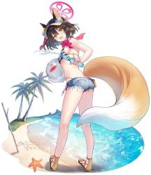 Rule 34 | 1girl, animal ear fluff, animal ears, ball, bare shoulders, beach, beachball, bikini, bikini under clothes, black hair, blue archive, blue headwear, blue shorts, blush, bottle, brown eyes, butt crack, duplicate, fang, fox ears, fox girl, fox shadow puppet, fox tail, from behind, full body, halo, highleg, highleg bikini, highres, holding, holding ball, holding beachball, holding bottle, izuna (blue archive), izuna (swimsuit) (blue archive), kneepits, leaning forward, looking at viewer, looking back, medium hair, micro shorts, official alternate costume, one eye closed, pink halo, sandals, scarf, shorts, side ponytail, string bikini, striped bikini, striped clothes, swimsuit, tail, transparent background