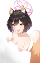 Rule 34 | 1girl, absurdres, animal ear fluff, animal ears, black hair, blue archive, breasts, collarbone, colored inner hair, fang, fox ears, fox girl, fox tail, halo, highres, holding, izuna (blue archive), looking at viewer, multicolored hair, okey, open mouth, purple hair, short hair, simple background, skin fang, solo, tail, white background, yellow eyes