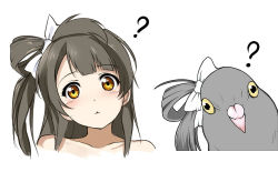 Rule 34 | 1girl, :3, ?, bird, blunt bangs, blush, bow, caidychen, closed mouth, collar, commentary request, completely nude, grey hair, hair bow, head tilt, long hair, love live!, love live! school idol project, minami kotori, nude, parody, pigeon, simple background, white background, yellow eyes