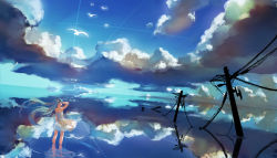 Rule 34 | 1girl, aqua hair, bird, cloud, dress, floating hair, from behind, hatsune miku, highres, long hair, sky, solo, twintails, very long hair, vocaloid, wading, water, yaozhiligenius