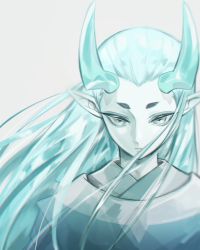Rule 34 | 1boy, aqua eyes, aqua hair, aqua horns, highres, horns, looking at viewer, luo xiaohei zhanji, pointy ears, portrait, shadow, simple background, solatky, solo, white background, xuhuai (the legend of luoxiaohei)