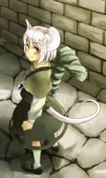 Rule 34 | 1girl, animal ears, backpack, bag, blush, brown eyes, capelet, dowsing rod, dress, female focus, gem, grey hair, highres, jewelry, looking at viewer, looking up, mouse ears, mouse tail, nazrin, pendant, randoseru, shirt, short hair, skirt, skirt set, solo, tail, touhou, wall, yudepii