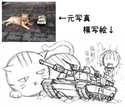 Rule 34 | arrow (symbol), cat, comparison, military, military vehicle, motor vehicle, photo (medium), reference photo, sketch, solo, tank, vehicle