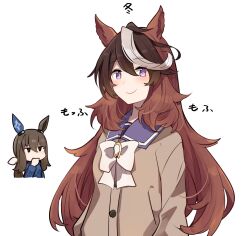 Rule 34 | 2girls, admire vega (umamusume), animal ears, brown cardigan, brown hair, cardigan, closed mouth, commentary request, covering own mouth, ear covers, hand over own mouth, horse ears, horse girl, ido (teketeke), long hair, looking at viewer, multicolored hair, multiple girls, purple eyes, school uniform, serafuku, simple background, single ear cover, smile, solo focus, streaked hair, symboli rudolf (umamusume), translated, umamusume, very long hair, white background