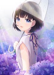 Rule 34 | 1girl, :d, artist name, black hair, blue eyes, blunt bangs, commentary request, flower, flower request, highres, holding, holding umbrella, multicolored eyes, open mouth, original, purple eyes, purple theme, rai miruku, shirt, short sleeves, smile, solo, transparent, transparent umbrella, twitter username, umbrella, upper body, water drop, watermark, white shirt