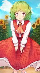 Rule 34 | 1girl, aged down, ascot, blue sky, blush, cloud, collared shirt, cross-eyed, day, flower, frilled skirt, frills, garden of the sun, green hair, highres, kazami yuuka, long skirt, long sleeves, looking at viewer, mountain, open clothes, open vest, outdoors, plaid, plaid skirt, plaid vest, red eyes, red skirt, red vest, ripu (lipi), shirt, short hair, skirt, skirt set, sky, smile, solo, sunflower, touhou, vest, wavy hair, white legwear, white shirt