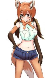 Rule 34 | 10s, 1girl, animal ears, aranagi (arng 4401), bare shoulders, blush, bow, bowtie, crop top, denim, denim shorts, gloves, hand on own hip, highres, kemono friends, long hair, maned wolf (kemono friends), midriff, navel, pantyhose, short shorts, shorts, solo, tail, wolf ears, wolf tail