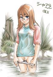 Rule 34 | 00s, 1girl, blue eyes, blush, breasts, brown hair, covered erect nipples, embarrassed, exhibitionism, female pubic hair, flashing, glasses, groin, hood, hoodie, light brown hair, long hair, mujin wakusei survive, nature, nipples, no bra, no pants, orange hair, outdoors, panties, panty pull, pubic hair, public indecency, pussy, raglan sleeves, see-through, sharla, shirt, small breasts, solo, standing, tree, uncensored, underwear, water, wet, wet clothes, wet shirt, white panties