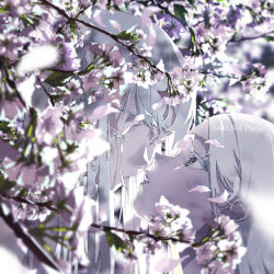 Rule 34 | 2girls, absurdres, blurry, blurry background, blurry foreground, branch, cherry blossoms, closed eyes, depth of field, english text, eyeshadow, grey eyes, highres, imminent kiss, long hair, makeup, multiple girls, nico-tine, original, outdoors, petals, portrait, white hair, yuri