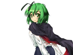 Rule 34 | 1girl, antennae, back, bad id, bad pixiv id, breasts, cape, closed mouth, female focus, green eyes, green hair, long sleeves, looking at viewer, looking back, matching hair/eyes, potionu, shirt, short hair, simple background, solo, touhou, white background, white shirt, wriggle nightbug