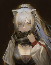 Rule 34 | 1girl, absurdres, animal ears, arknights, black background, black scarf, cat ears, commentary request, grey hair, highres, jacket, long hair, looking at viewer, one eye closed, ponytail, scarf, schwarz (arknights), solo, subfiction, upper body, very long hair, white jacket, yellow eyes