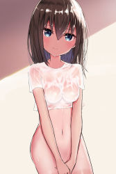 Rule 34 | 1girl, absurdres, bad id, bad pixiv id, blue eyes, blush, bottomless, breasts, brown background, brown hair, closed mouth, commentary request, coraman, covering privates, covering crotch, hair between eyes, head tilt, highres, long hair, medium breasts, navel, original, see-through, shirt, short sleeves, smile, solo, two-tone background, wet, wet clothes, wet hair, wet shirt, white shirt