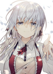 Rule 34 | 1girl, ahoge, breasts, character request, closed mouth, collared shirt, commentary request, grey eyes, hair between eyes, hand up, head tilt, kazutake hazano, long hair, long sleeves, looking at viewer, medium breasts, petals, shiro seijo to kuro bokushi, shirt, silver hair, smile, solo, upper body, white background, white shirt