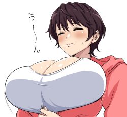 Rule 34 | 1girl, blush, breasts, brown hair, cleavage, closed eyes, closed mouth, highres, hood, hoodie, huge breasts, idolmaster, idolmaster cinderella girls, inconvenient breasts, long sleeves, motion lines, oikawa shizuku, partially unzipped, red hoodie, shirt, short hair, simple background, solo, sweatdrop, tawashi1623, undersized clothes, upper body, white background, white shirt, zipper pull tab