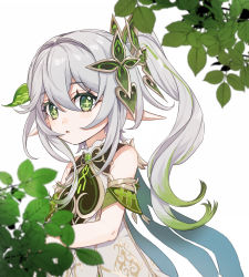 Rule 34 | 1girl, blurry, blurry background, blurry foreground, branch, cape, clover, commentary request, depth of field, detached sleeves, elf, flower, four-leaf clover, genshin impact, gradient hair, green eyes, green wings, grey hair, hair between eyes, hair ornament, highres, leaf, leaf hair ornament, leaf on head, long hair, long pointy ears, looking at viewer, motion blur, multicolored hair, nahida (genshin impact), palm leaf, palm tree, plant, pointy ears, sharp teeth, short sleeves, sidelocks, simple background, solo, sushi 171, symbol-shaped pupils, tanabata, tanzaku, teeth, tree, wings