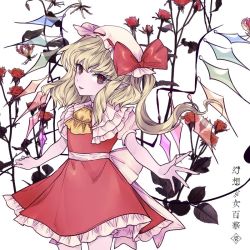 Rule 34 | 1girl, ascot, blonde hair, bloomers, bow, fang, flandre scarlet, flower, flower request, frills, gin fragrans, hair between eyes, hat, hat ribbon, light smile, looking at viewer, mob cap, nail polish, pointy ears, puffy short sleeves, puffy sleeves, red eyes, red flower, red nails, red rose, red skirt, red vest, ribbon, rose, short sleeves, simple background, skin fang, skirt, skirt set, solo, touhou, underwear, v-shaped eyebrows, vest, white background, wings