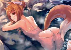 Rule 34 | 1girl, animal ears, anus, ascii media works, ass, blush, breasts, brown hair, cleft of venus, crotch, hair bun, hair up, holo, kawakami rokkaku, long hair, nude, onsen, partially submerged, pussy, red eyes, scan, shiny skin, single hair bun, small breasts, solo, spice and wolf, steam, tail, third-party edit, towel, uncensored, wet, wolf ears, wolf tail