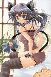 Rule 34 | absurdres, animal ears, bare shoulders, blue eyes, blush, cat ears, cat tail, collar, highres, izumi tsubasu, long hair, open mouth, scan, silver hair, sitting, solo, tail, thighhighs